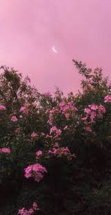 27 Very Pretty Iphone Xr Wallpapers That Will Jazz Your Phone Up Idea Wallpapers Iphone Wallpapers Color Schemes Simple gradient wallpapers for iphone. 27 very pretty iphone xr wallpapers
