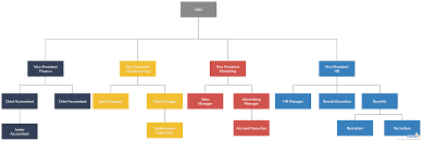 organogram example you can edit this template and create