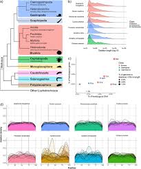 Single Individual Structural Variant Detection Uncovers Widespread Hemizygosity In Molluscs Biorxiv