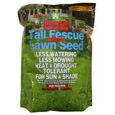 Dwarf fescue is a relatively newer variety of fescue grass with unique properties not found in plant dwarf fescue in a prepared area at a rate of 8 to 10 lbs. Stover Bonsai Dwarf Fescue Grass Seed 81110 0 The Home Depot