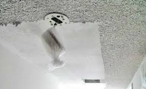 Painting Services In Orlando Fl Commercial House Painters