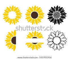 Bunga matahari dicat bunga matahari faceplate clipart dicat png pngwing from w7.pngwing.com. Sunflower Clipart Bunga Matahari Sunflower Images Clip Art Stunning Free Transparent Png Clipart Images Free Download