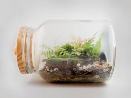 Material Werkzeug Etsy De Basteln Diy Anleitungen Mini Garten