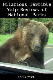 Funniest Reviews Of National Park Vacations Funny Animal Memes Funny Pictures Funny