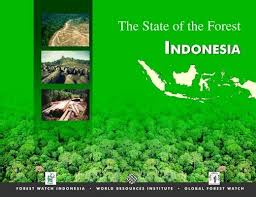 Danial is so fond of sofea that he is willing to do whatever sofea wants, however danial is not the the man sofea is looking for. The State Of The Forest Indonesia Global Forest Watch