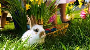It always falls on a thursday. Where The Easter Bunny Came From Culture Arts Music And Lifestyle Reporting From Germany Dw 03 04 2021
