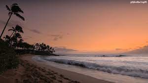 App on november 2, 2017. Love Summer Beach Gif On Gifer By Voodookasa