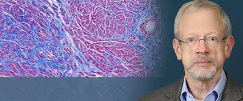 Pathology Consultants