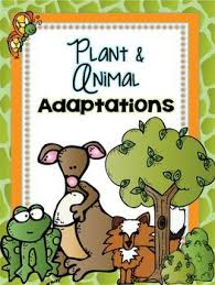 Pin On Science Animals Animal Adaptations
