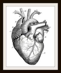 See more ideas about sad drawings, heart drawing, pencil art drawings. Heart Drawing With Pencil Novocom Top