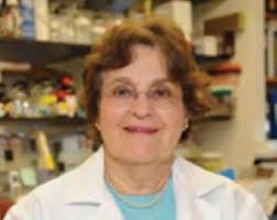 National Foundation for Cancer Research 2012 Progress Report