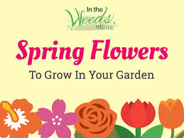 Call Or Text Lois 513 602 9116 Or Send An Email To Intheweedsetc Gmail Com And Tell Me About Your Project Spring Flowers Garden Landscaping Home Decor Decals