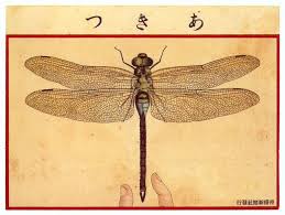 Japanese Postcards Japanese Prints Dragonfly Dragonfly Art