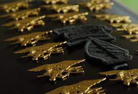 Edward Gallagher The Seals And Why The Trident Pin Matters The New York Times