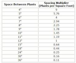 calculator plants per square foot