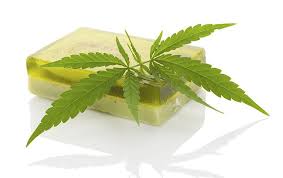 Image result for hemp skin care products
