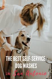 We have been awarded best in the city multiple years in a row and always strive to make each pup's visit arfin' awesome! A Muddy Dog The Best Self Service Dog Washes In San Antonio The Dog Guide San Antonio