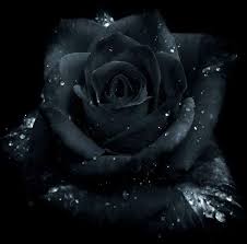 Gothic Black And Blue Roses Jools Couture Jools Couture Black Rose Black Flowers Gothic Rose