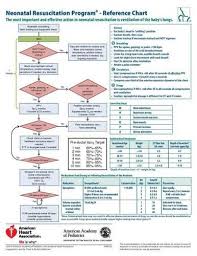 By american table of contents · book info neonatal resuscitation program provider course overview. 9781610020312 Neonatal Resuscitation Program Reference Chart Nrp Abebooks American Academy Of Pediatrics And American Heart Association 1610020316