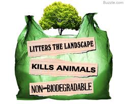 Plastic plastic go away i want my earth to play! Single Use Plastics Sierra Club
