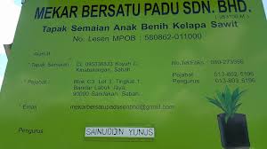 Bagaimana hati mereka menjadi bersatu padu. Tapak Semaian Mekar Bersatu Padu Sdn Bhd Photos Facebook