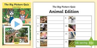 Put your film knowledge to the test and see how many movie trivia questions you can get right (we included the answers). Animal Picture Quiz With Answers Printable Animal Quiz