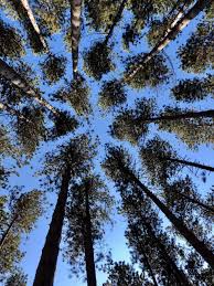 Maybe you would like to learn more about one of these? Cumming Nature Center Naples 2021 All You Need To Know Before You Go Tours Tickets With Photos Tripadvisor