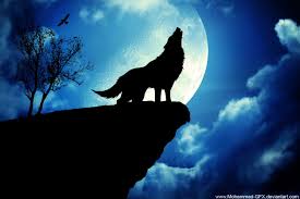 Exclusive Wolf Wallpaper Wallpaper Wolf Wallpaper Wolf Pictures Galaxy Wolf