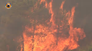 We did not find results for: Un Incendio Forestal En Rafelguaraf Obliga A Desalojar Dos Urbanizaciones Cercanas Radio Valencia Cadena Ser