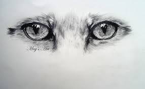 Inspiration drawing art visage eyes artwork realistic eye drawing eye sketch fantasy paintings hyperrealism eye art drawing people. Pencil Drawings Of Animal Eyes Pencildrawing2019