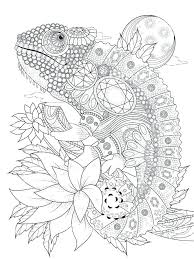 Chameleon Coloring Pages Best Coloring Pages For Kids Steampunk Coloring Animal Coloring Pages Coloring Pages