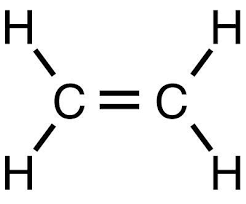 Chemical Structures Starting With The Letter E Chemical Structure Letter E Lettering