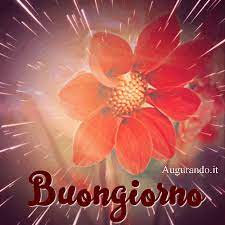 Gif Animate Del Buongiorno Uniche Originali Subito Qui Buongiorno Buongiorno Immagini Auguri Di Buongiorno