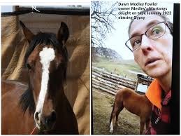 You know what they say about animal abusers right ?