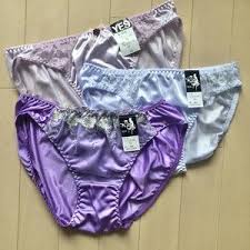 Japanese Brand | Intimates & Sleepwear | 3 Pairs Japanese Light Weight  Tricot Panties Set | Poshmark