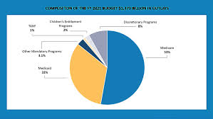 The government was initially funded through a series of five temporary continuing resolutions. Https Www Hhs Gov Sites Default Files Fy 2021 Budget In Brief Pdf