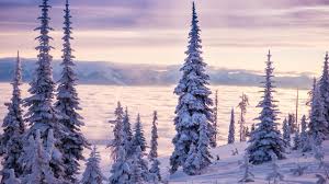 Mark Peugh photos, images, assets