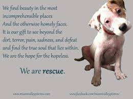 We Are Rescue One Of Mvpc S Top 10 Favorite Quotes And Mine About Dogs Rescue Dog Quotes Dog Quotes Dog Poems