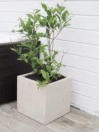 concrete beton lamper ideer