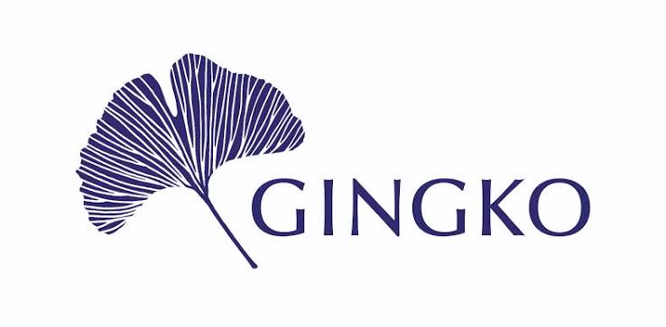 gingko