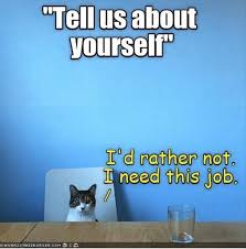 When choosing an answer, you can keep it fun and even a little humorous. Tell Us About Yourself Cat Meme Of The Decade Lol Cat Memes Funny Cats Funny Cat Pictures With Words On Them Funny Pictures Lol Cat Memes Lol Cats