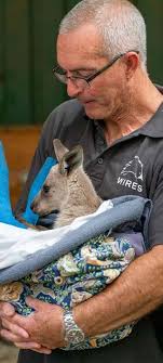 T H E C E N T R E F O R V O L U N T E E R I N G