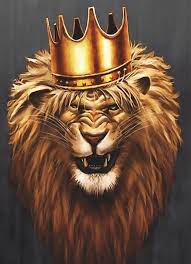 King Leo Lion Canvas Lion Pictures Wolf Artwork