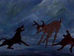He is the hunter who killed bambi's mother, a doing which is widely acknowledged as one of the most infamous and upsetting acts of villainy in any disney film. Hunting Dogs Gallery Bambi Wiki Fandom