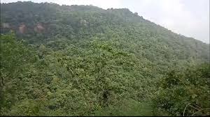 गरियाबंद नक्सल एनकाउंटर: कुल्हाड़ीघाट में मुठभेड़ जारी, अब तक 14 नक्सली  ढेर, एक करोड़ का इनामी माओवादी मारा गया - दैनिक जागरण