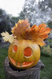 Image result for quirky halloween
