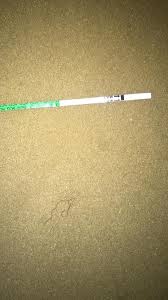 How To Use Pregnancy Test Strips 5 Steps Instructables