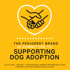 It costs a lot, and you're never quite sure what you pet is getting. Pedigree For Big Dogs Adult Complete Nutrition Large Breed Dry Dog Food Roasted Chicken Rice Vegetable Flavor Dog Kibble 17 Lb Bag Walmart Com Walmart Com