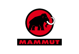 Pin By Alejandro Renobato On Playeras In 2020 Mammut Logos Brand Logo