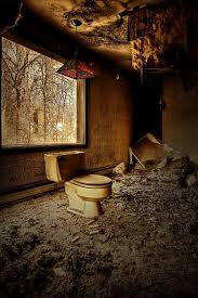 Is forgetting a failure of memory or an intentional biological process? Pin On My Garden